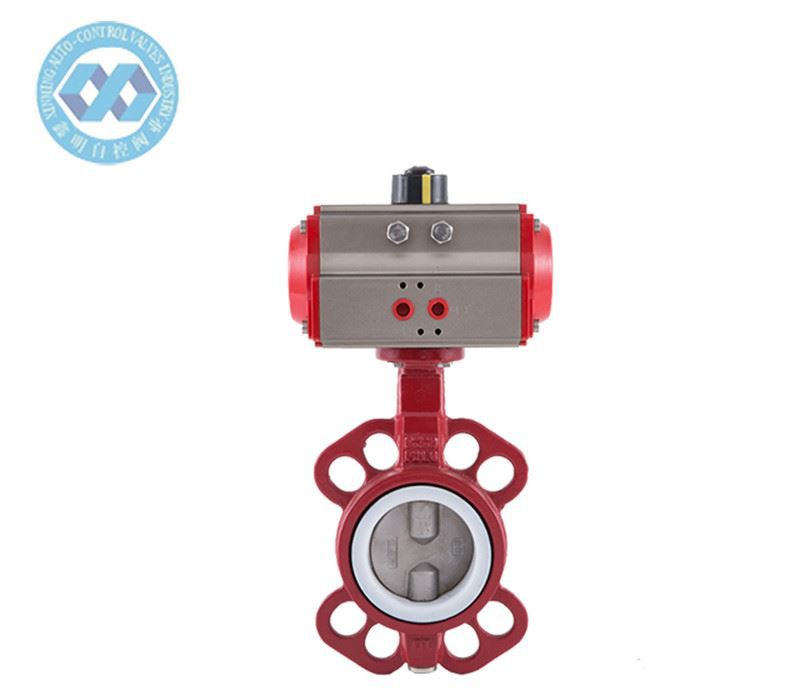 penumatic actuator ductile iron wafer butterfly valve-1_