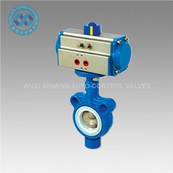 Wafer Butterfly Valve