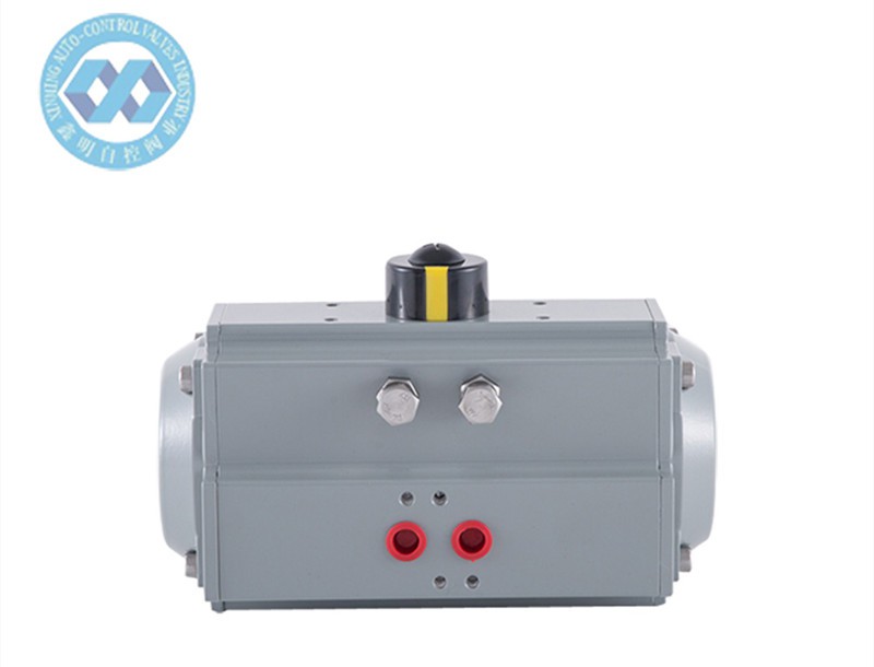 full paint Pneumatic Rotary Actuator