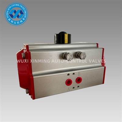 Angle Travel Pneumatic Actuators