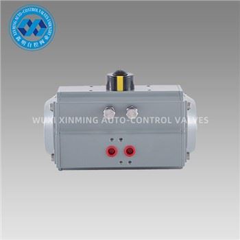 Full Paint Pneumatic Rotary Actuator