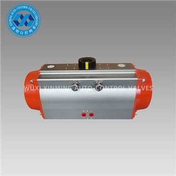 Hard Anodizing Pneumatic Actuator