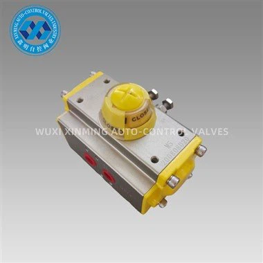 Angular Stroke Pneumatic Actuator