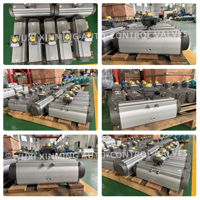 Rack and pinion pneumatic actuators 1