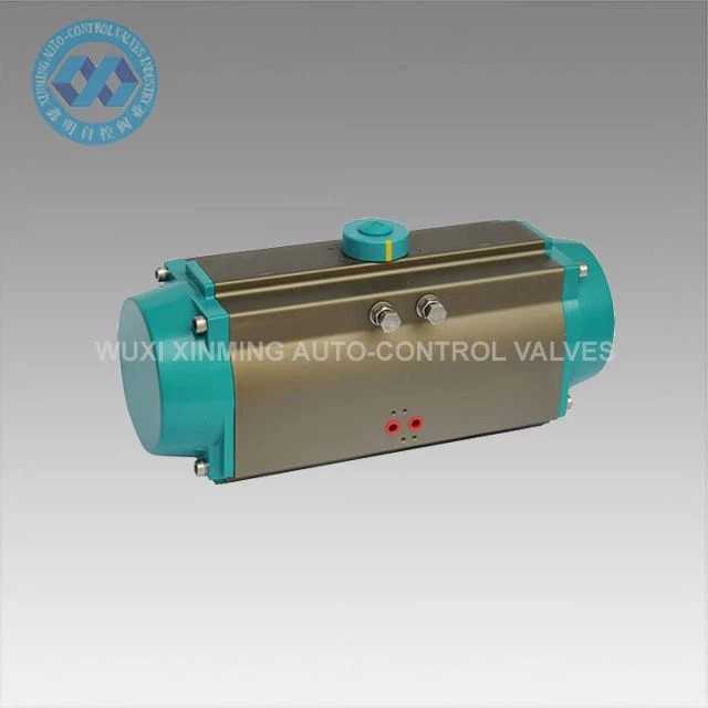 Pneumatic Actuator