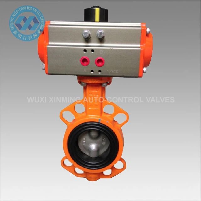 Butterfly Valve